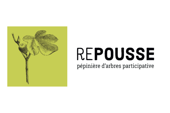 Repousse