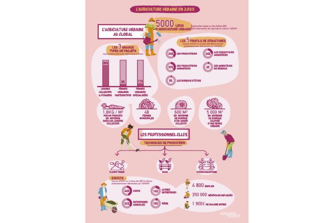 infographie-afaup