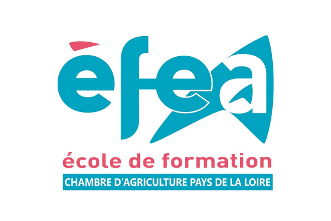 EFEA