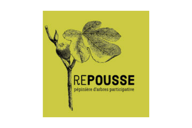 Repousse